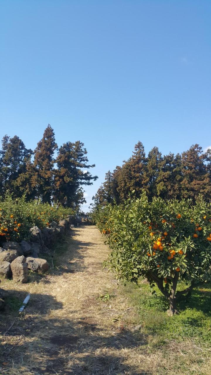 Jeju Mermuri Yerye-dong Zewnętrze zdjęcie