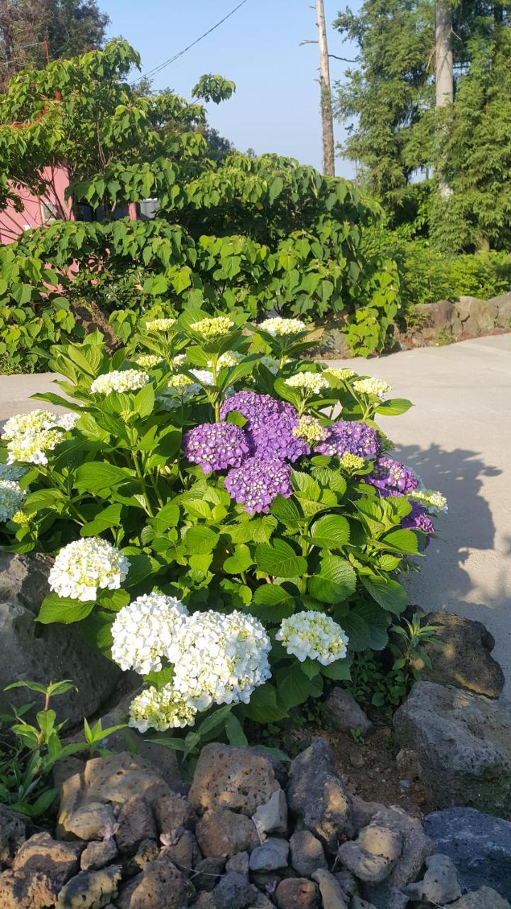 Jeju Mermuri Yerye-dong Zewnętrze zdjęcie