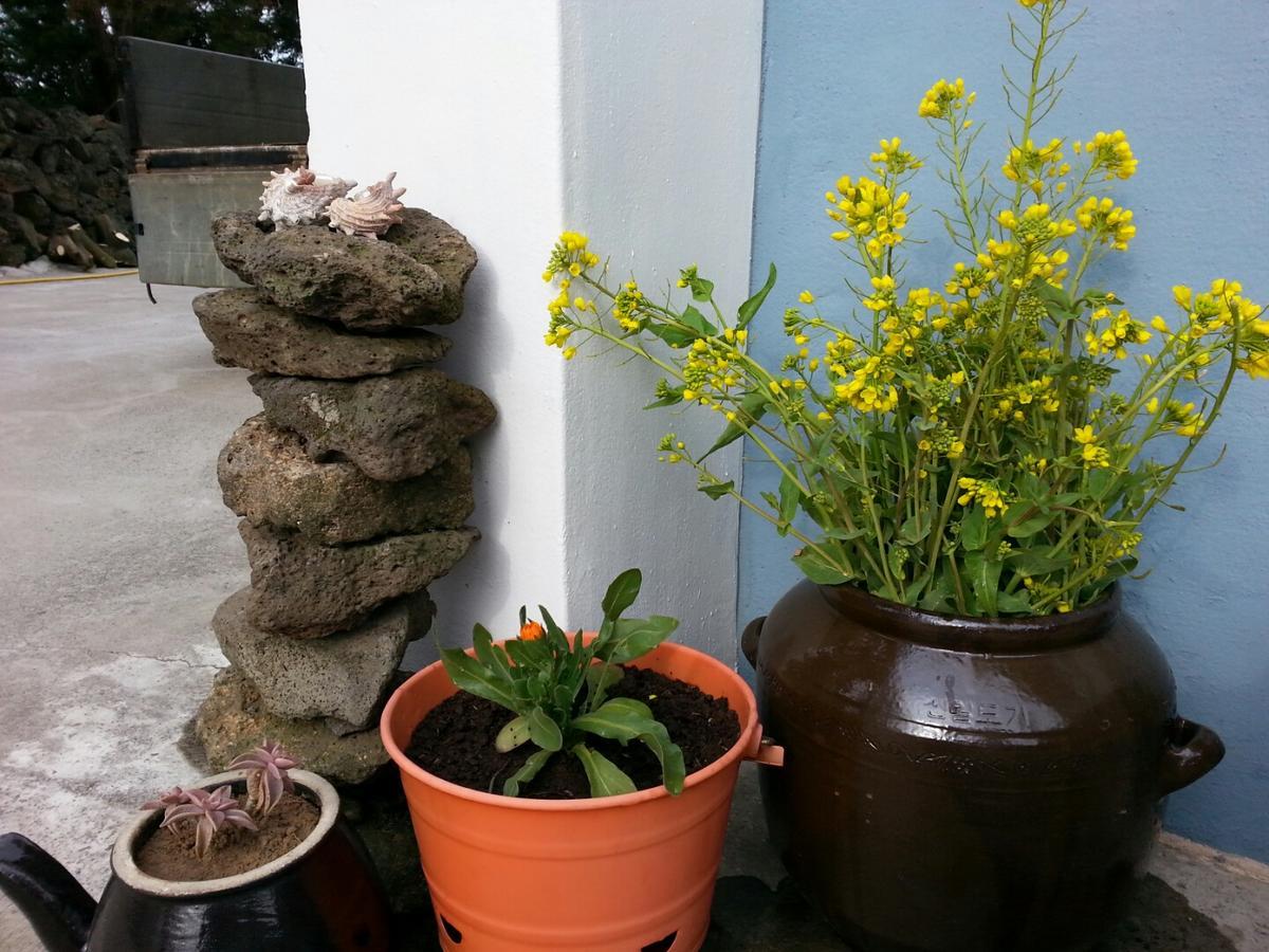 Jeju Mermuri Yerye-dong Zewnętrze zdjęcie