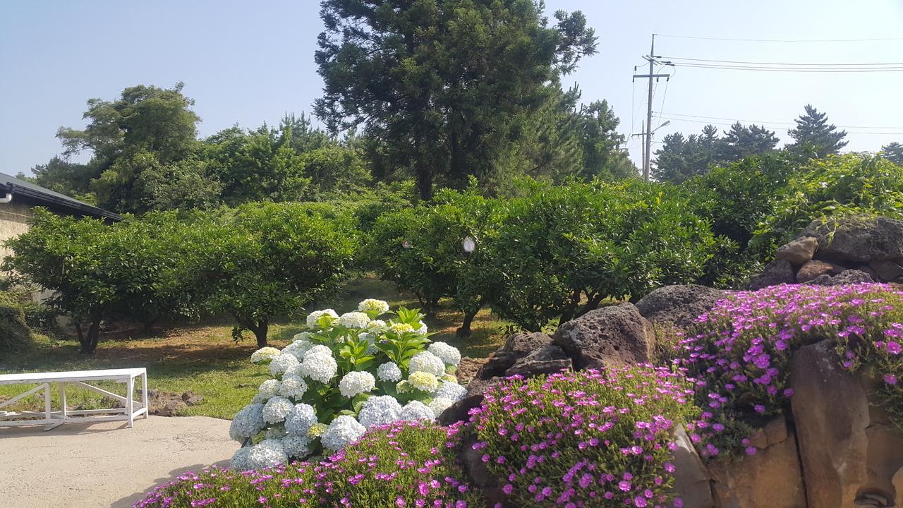 Jeju Mermuri Yerye-dong Zewnętrze zdjęcie