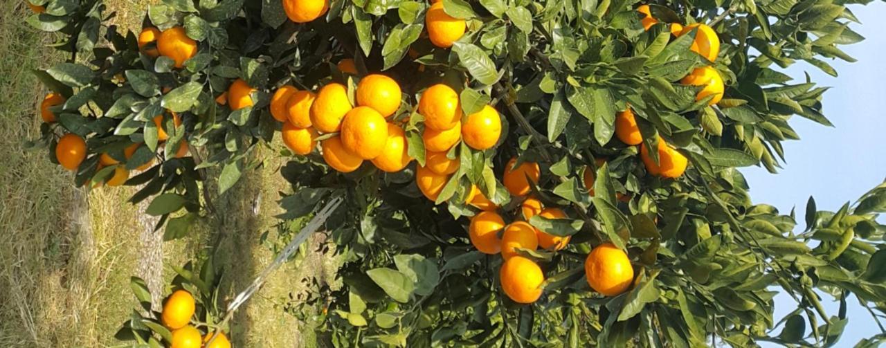 Jeju Mermuri Yerye-dong Zewnętrze zdjęcie