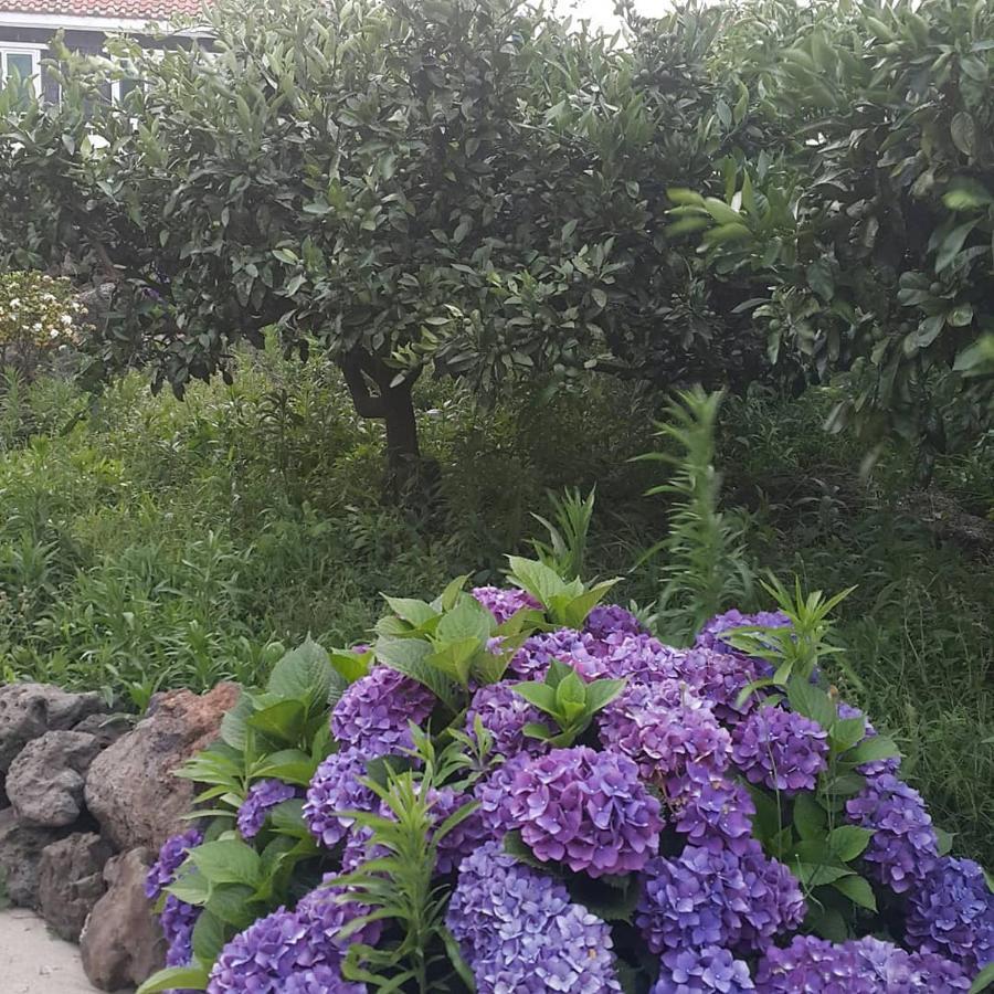 Jeju Mermuri Yerye-dong Zewnętrze zdjęcie