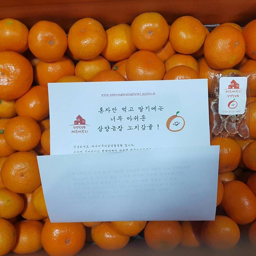 Jeju Mermuri Yerye-dong Zewnętrze zdjęcie